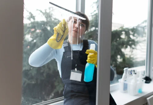 Nettoyage de vitres intérieures et extérieures à Neuillé-Pont-Pierre